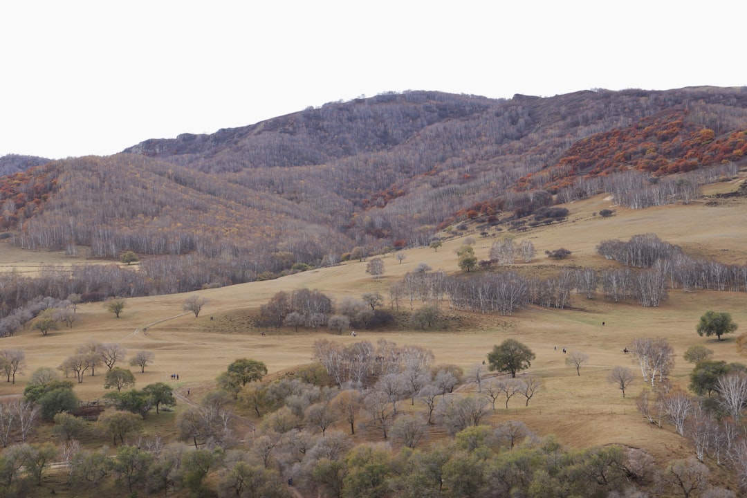 Embracing Nature: The Joys of Outdoor Travel